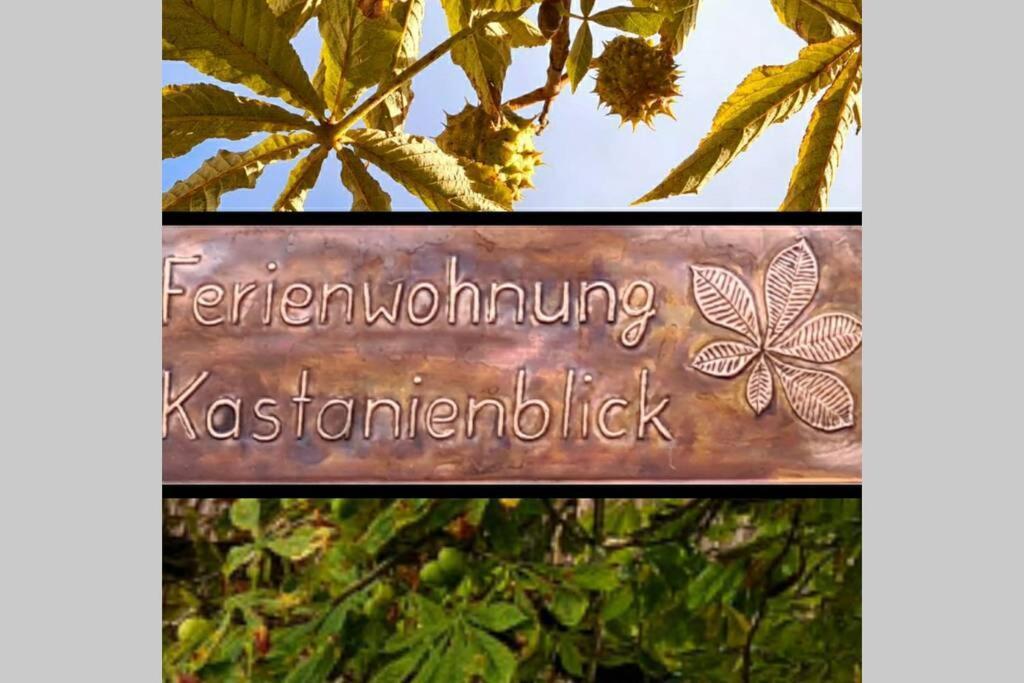 Kastanienblick Sankt Andreasberg Exterior photo